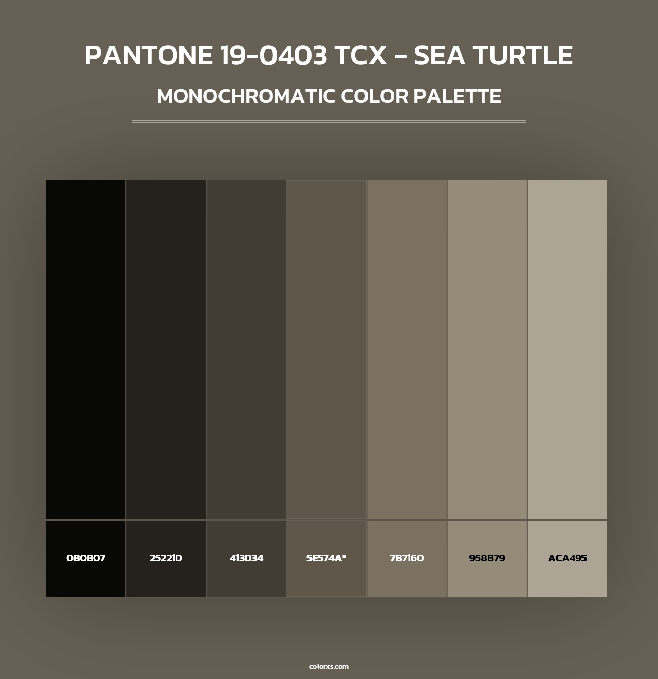 PANTONE 19-0403 TCX - Sea Turtle - Monochromatic Color Palette