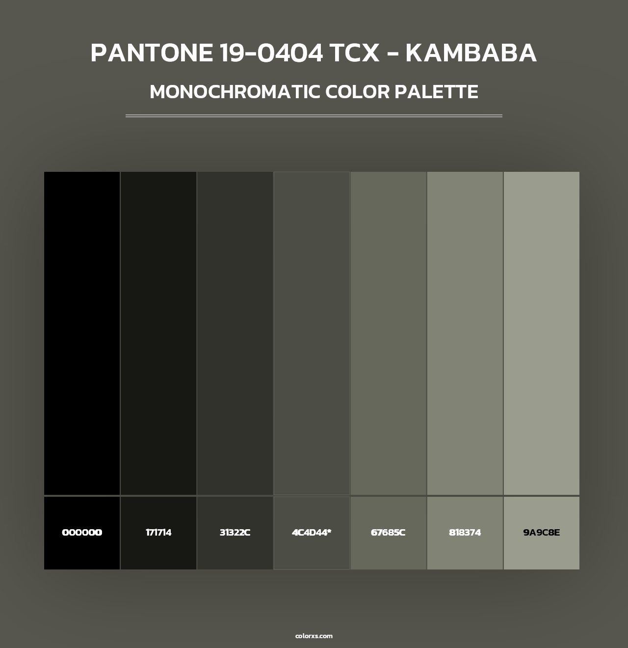 PANTONE 19-0404 TCX - Kambaba - Monochromatic Color Palette