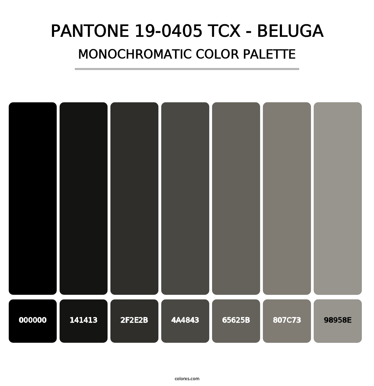 PANTONE 19-0405 TCX - Beluga - Monochromatic Color Palette