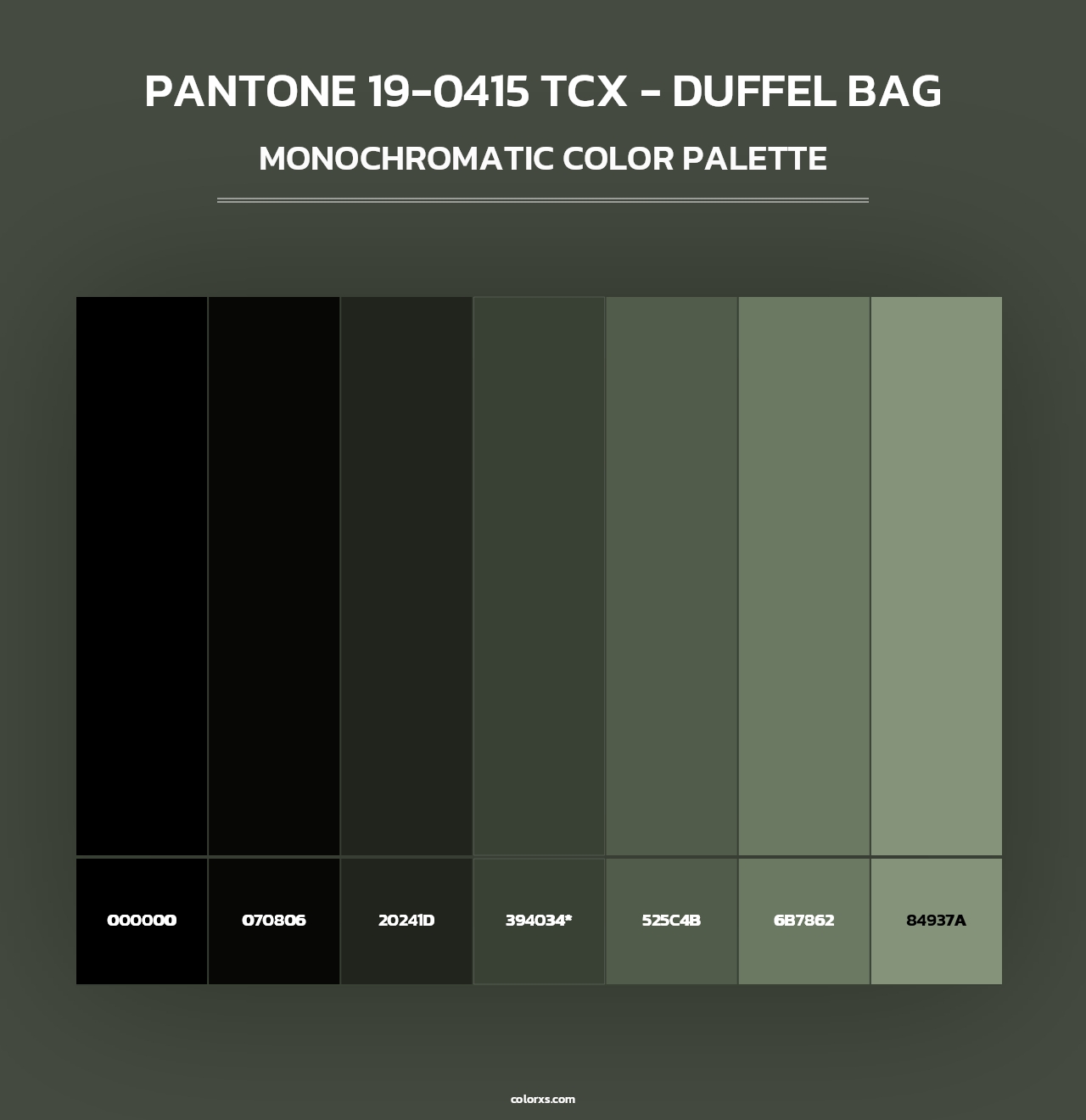 PANTONE 19-0415 TCX - Duffel Bag - Monochromatic Color Palette