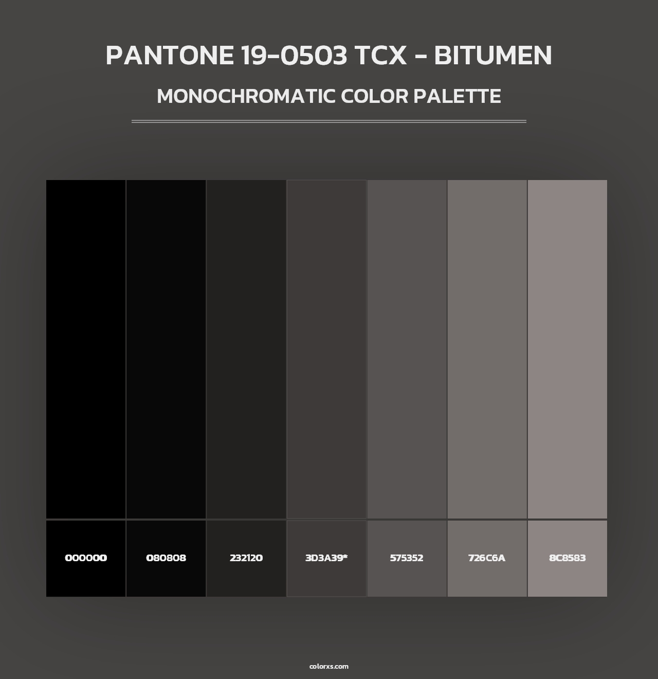 PANTONE 19-0503 TCX - Bitumen - Monochromatic Color Palette