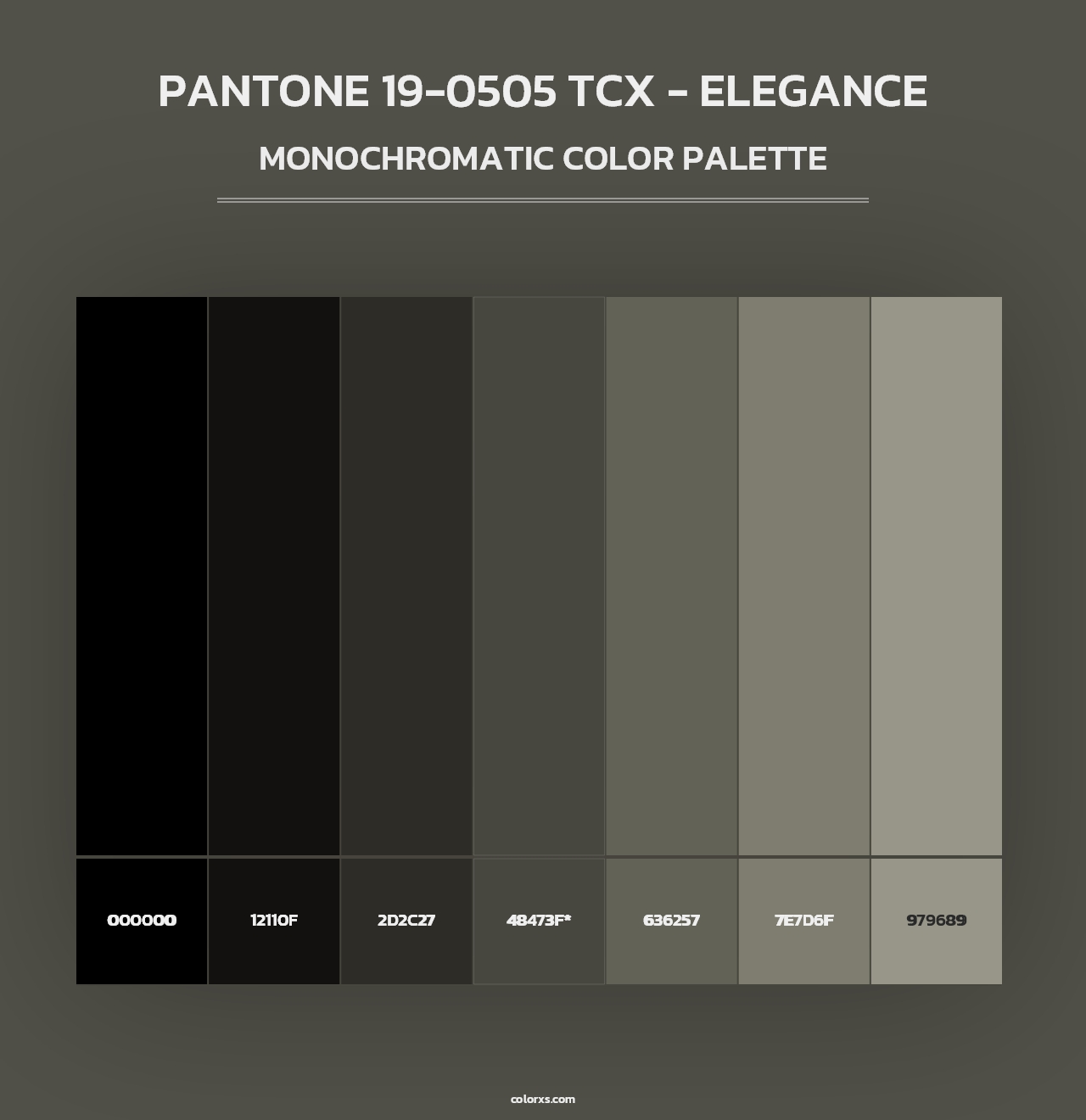 PANTONE 19-0505 TCX - Elegance - Monochromatic Color Palette