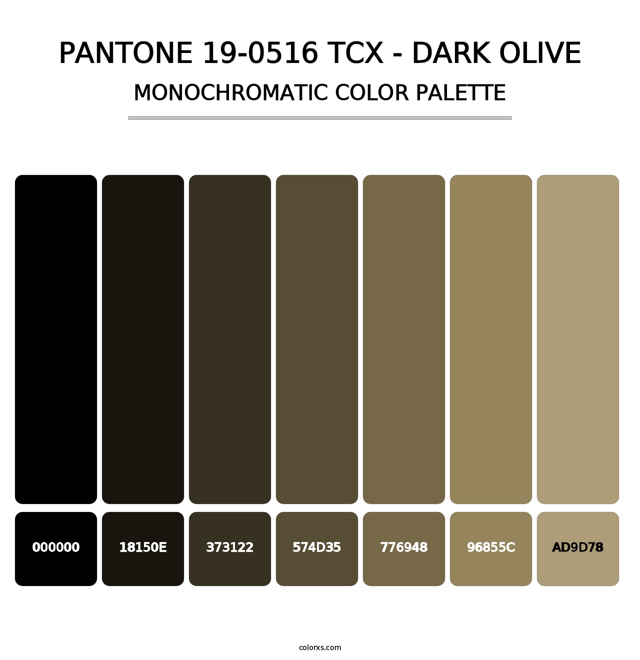 PANTONE 19-0516 TCX - Dark Olive - Monochromatic Color Palette