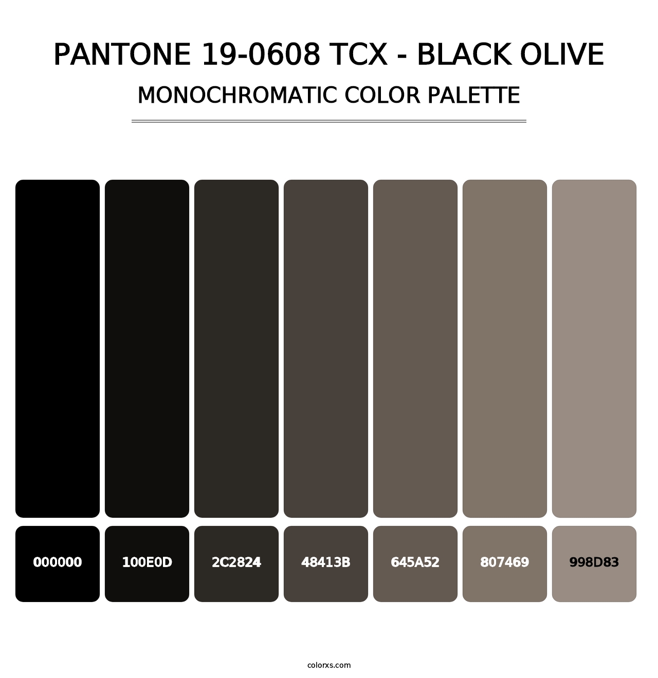 PANTONE 19-0608 TCX - Black Olive - Monochromatic Color Palette