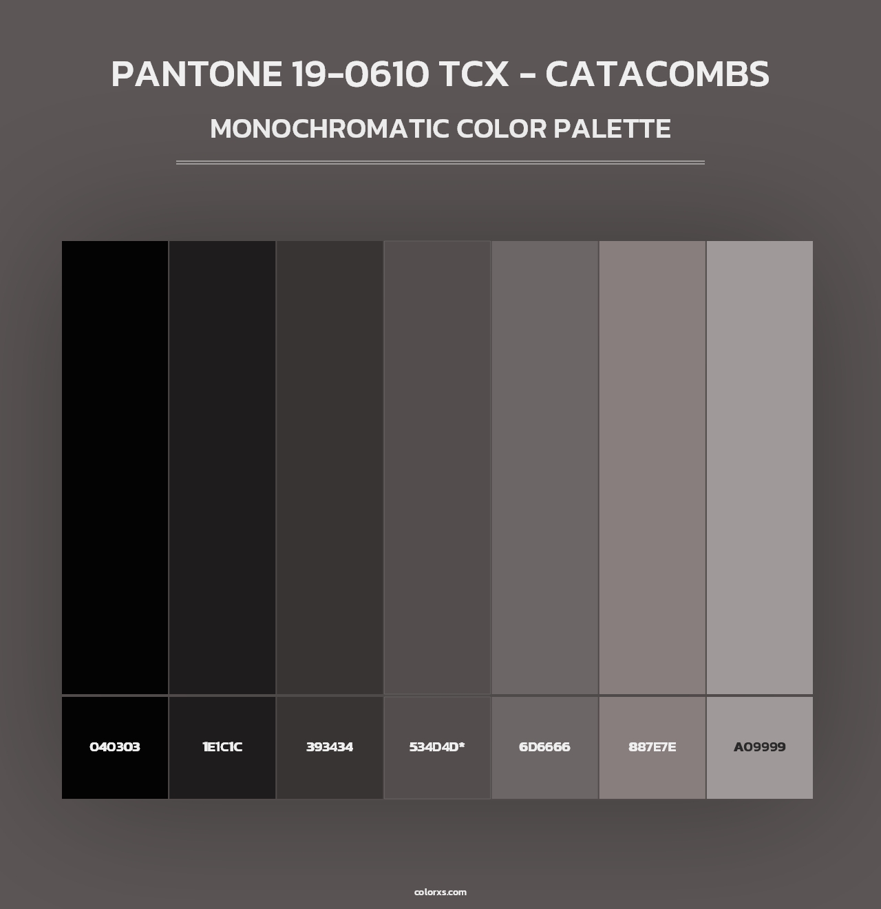 PANTONE 19-0610 TCX - Catacombs - Monochromatic Color Palette