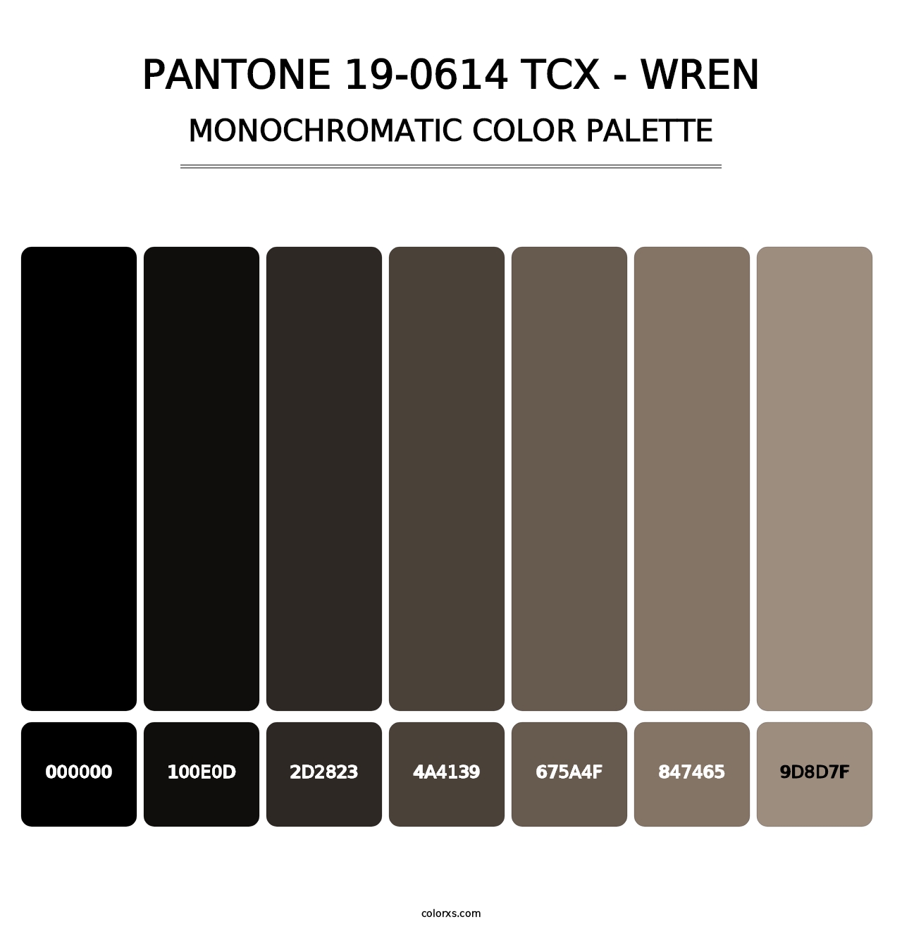 PANTONE 19-0614 TCX - Wren - Monochromatic Color Palette