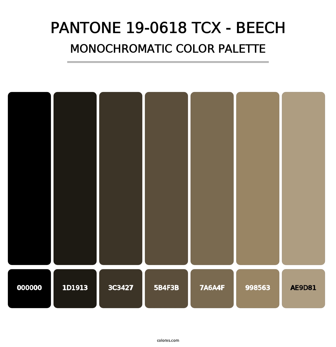 PANTONE 19-0618 TCX - Beech - Monochromatic Color Palette