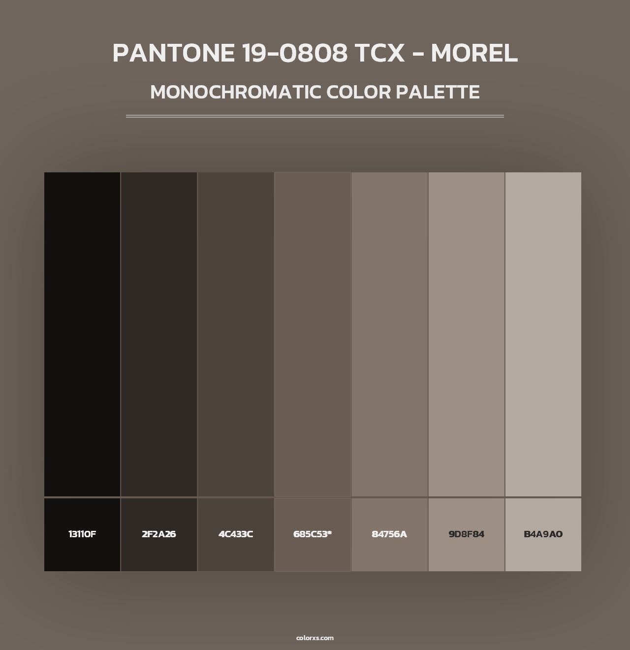 PANTONE 19-0808 TCX - Morel - Monochromatic Color Palette
