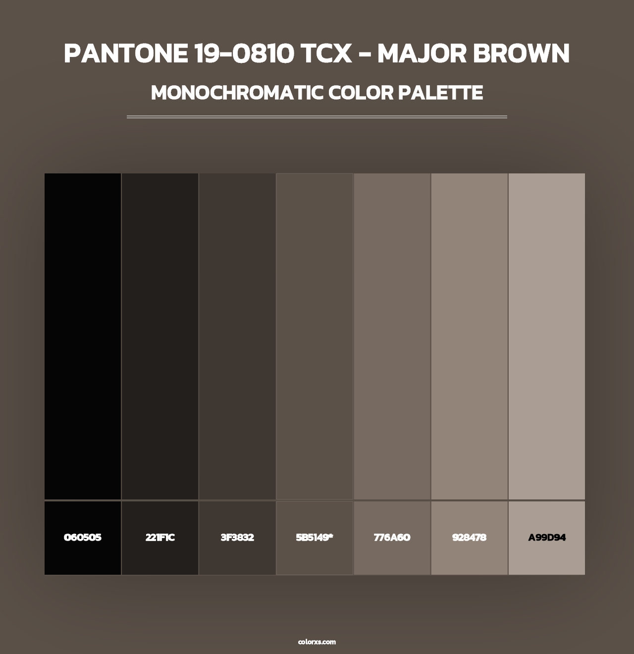 PANTONE 19-0810 TCX - Major Brown - Monochromatic Color Palette