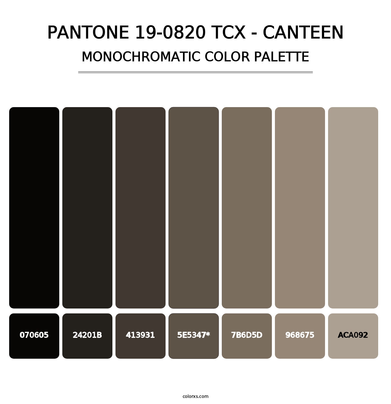 PANTONE 19-0820 TCX - Canteen - Monochromatic Color Palette