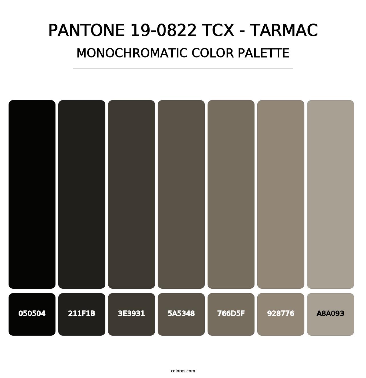PANTONE 19-0822 TCX - Tarmac - Monochromatic Color Palette