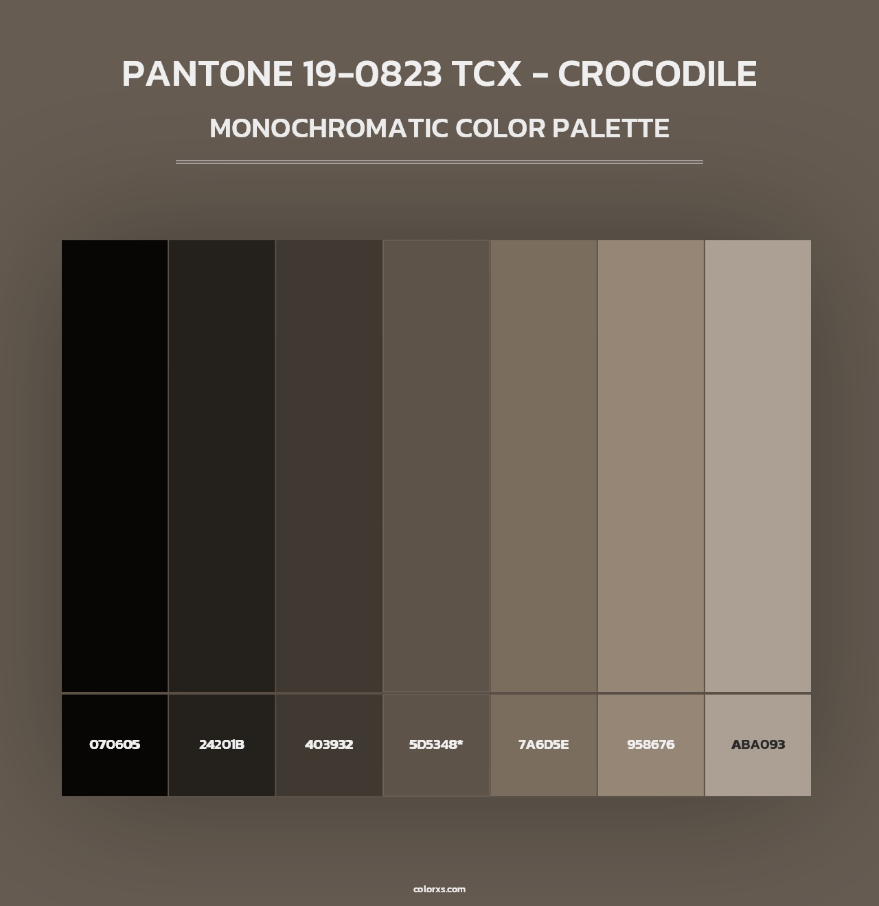 PANTONE 19-0823 TCX - Crocodile - Monochromatic Color Palette