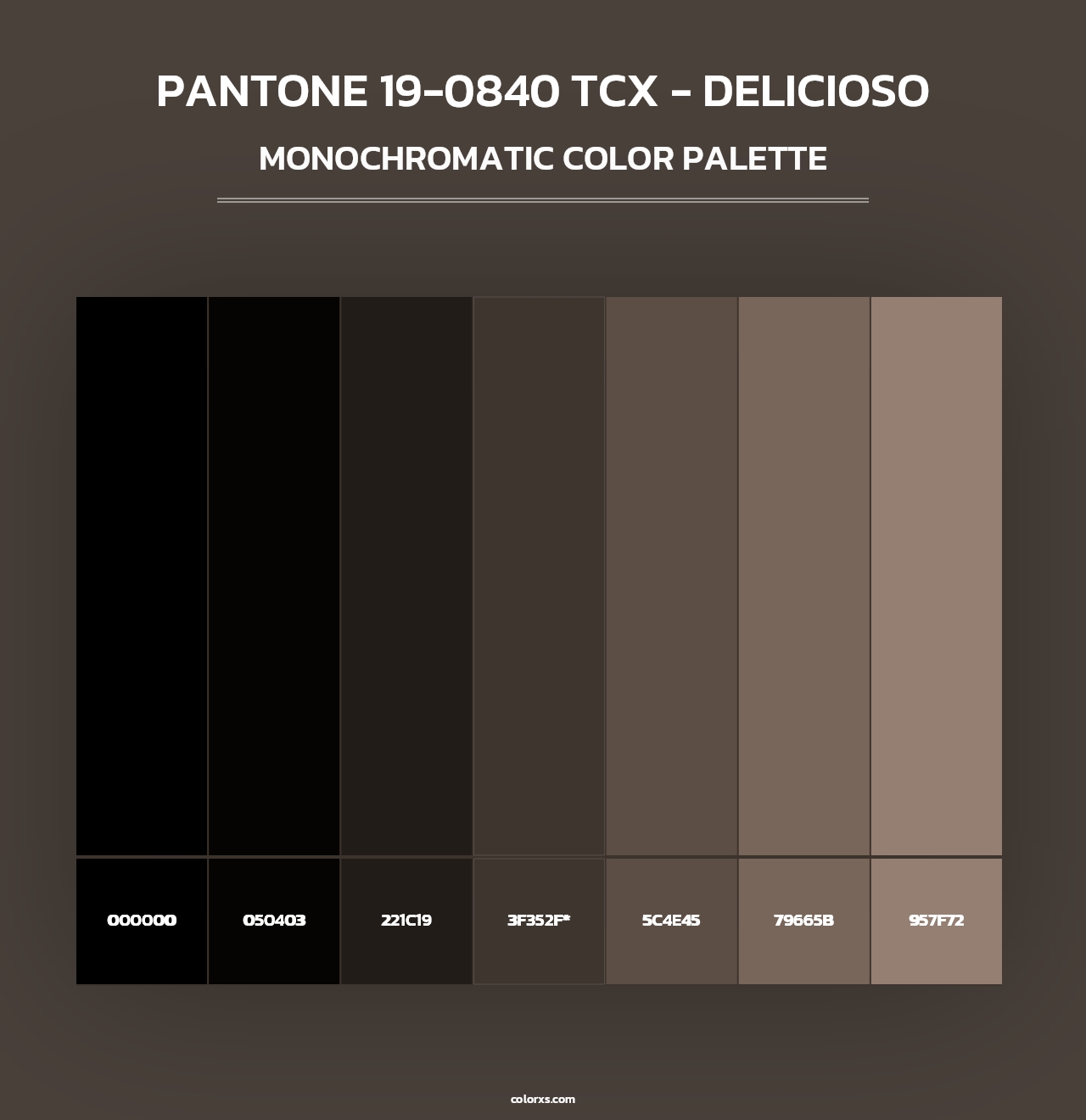 PANTONE 19-0840 TCX - Delicioso - Monochromatic Color Palette