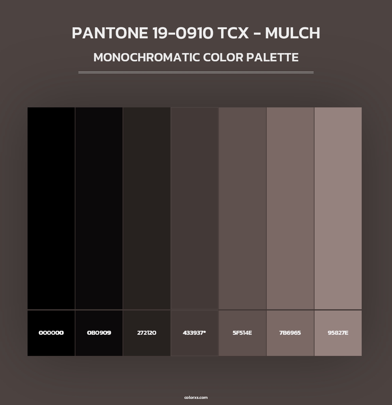 PANTONE 19-0910 TCX - Mulch - Monochromatic Color Palette