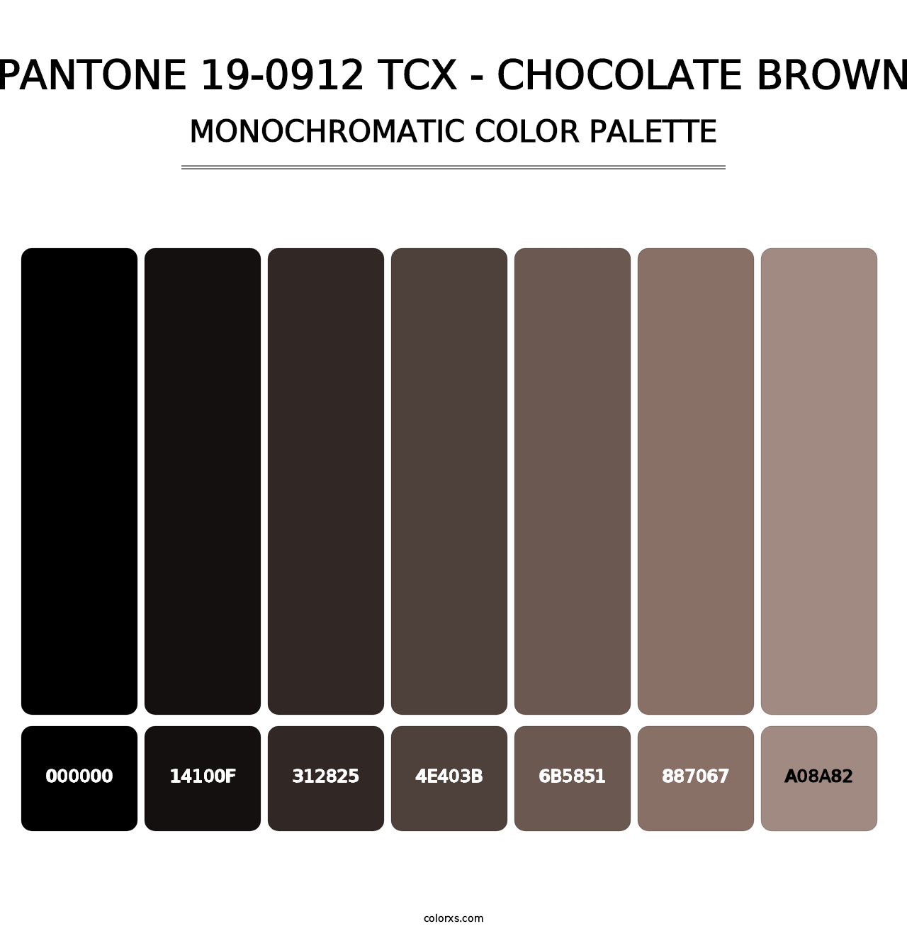 PANTONE 19-0912 TCX - Chocolate Brown - Monochromatic Color Palette