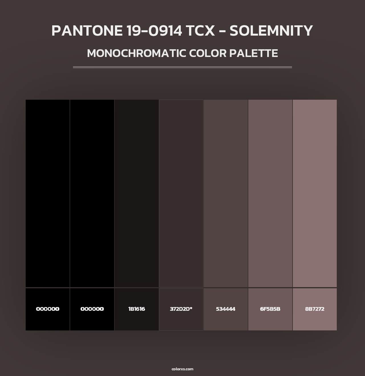 PANTONE 19-0914 TCX - Solemnity - Monochromatic Color Palette