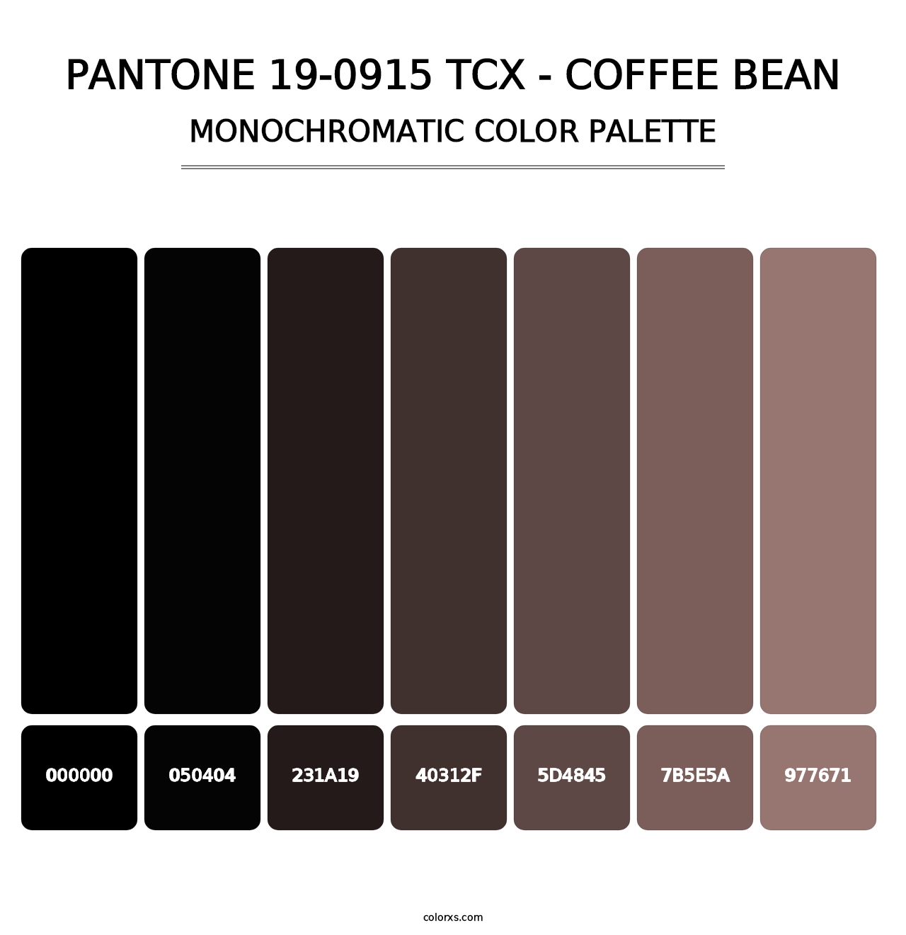 PANTONE 19-0915 TCX - Coffee Bean - Monochromatic Color Palette