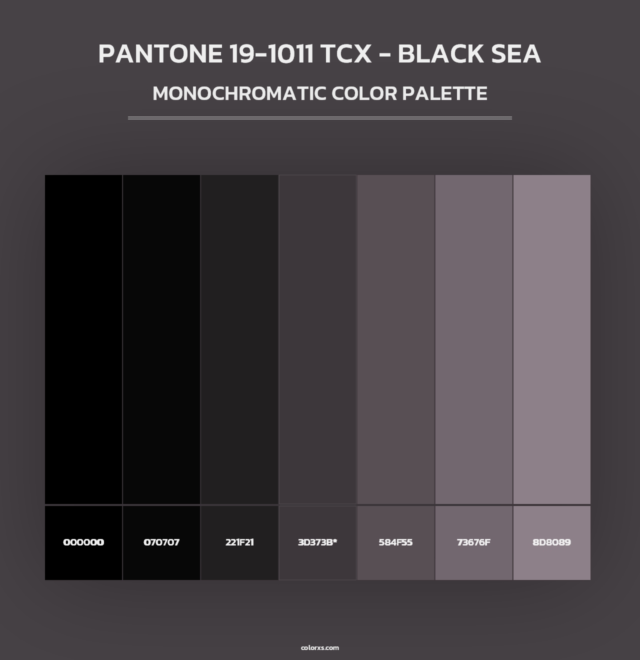 PANTONE 19-1011 TCX - Black Sea - Monochromatic Color Palette