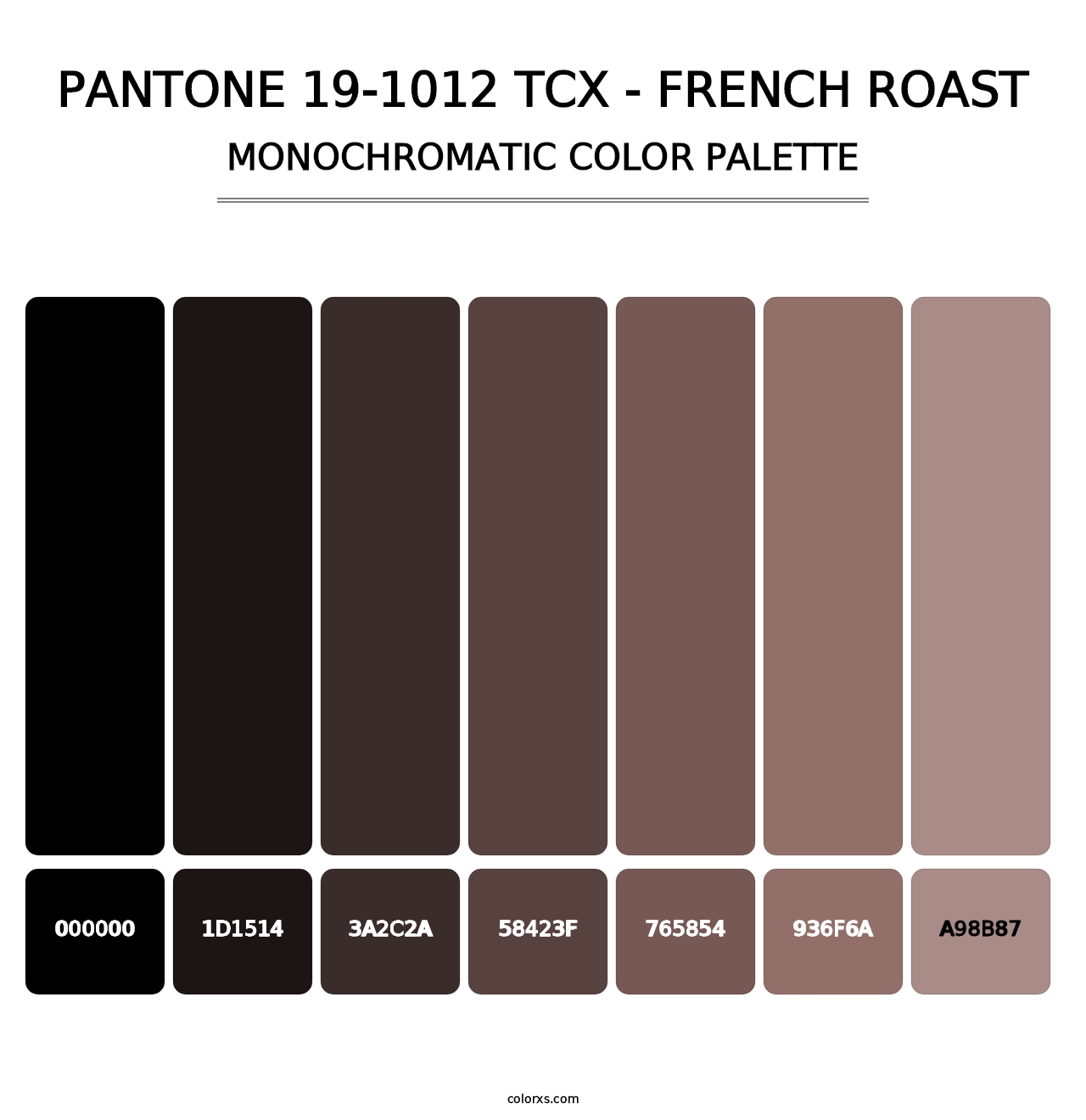 PANTONE 19-1012 TCX - French Roast - Monochromatic Color Palette