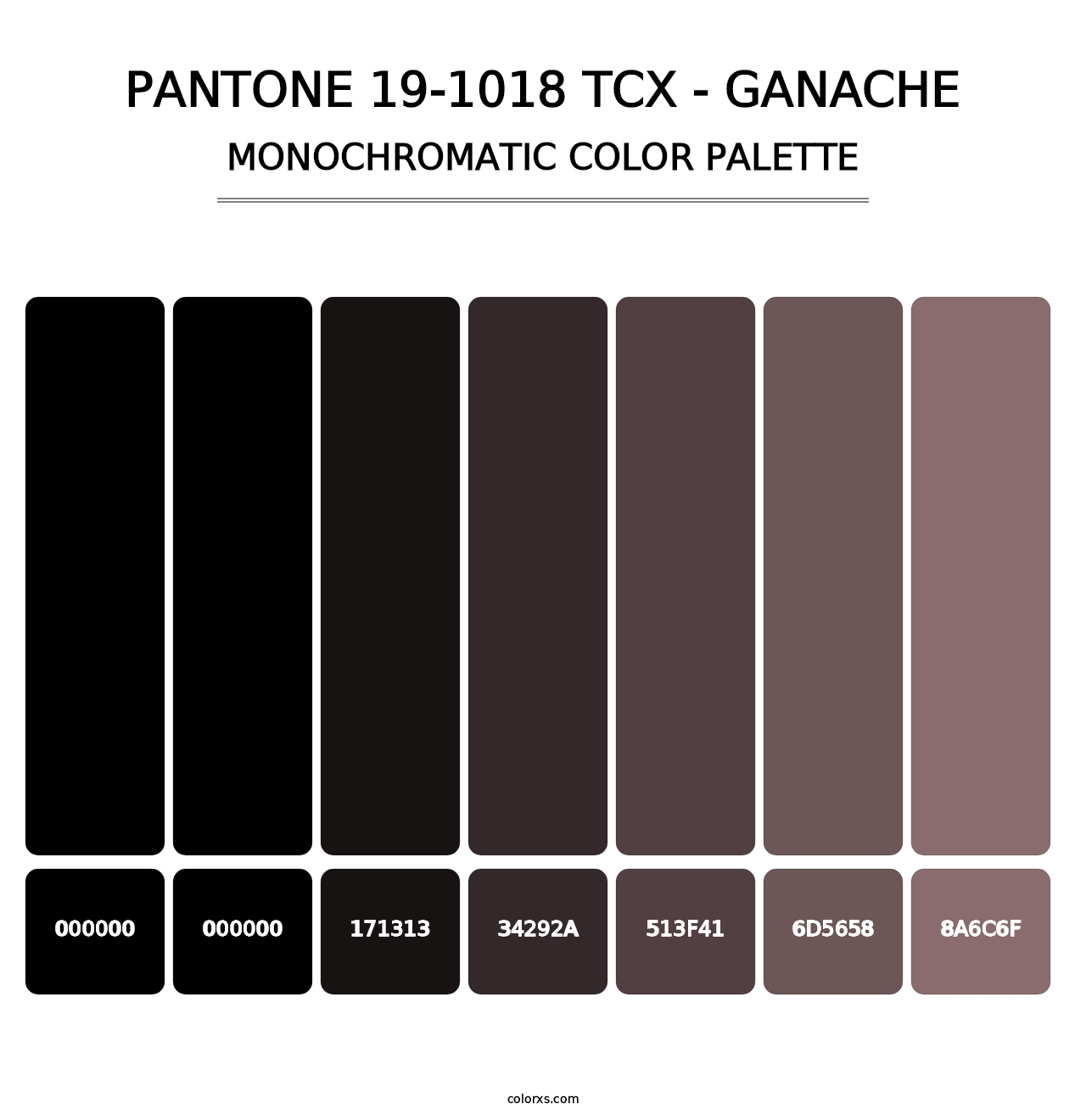 PANTONE 19-1018 TCX - Ganache - Monochromatic Color Palette