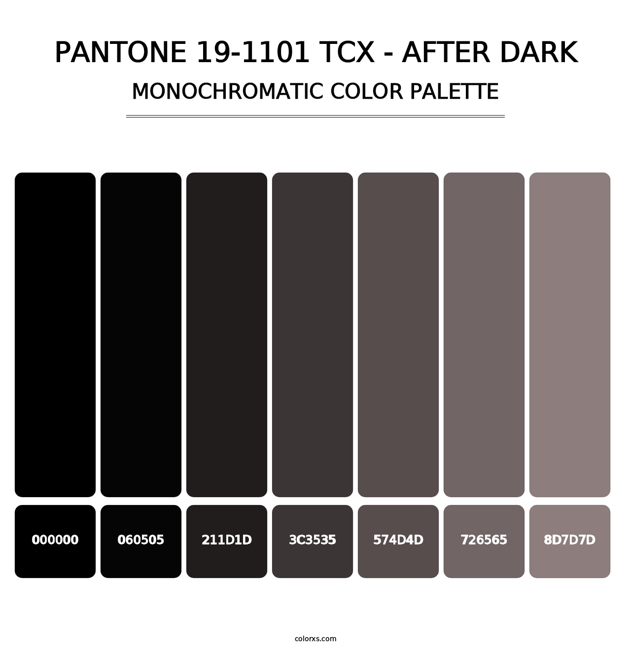 PANTONE 19-1101 TCX - After Dark - Monochromatic Color Palette