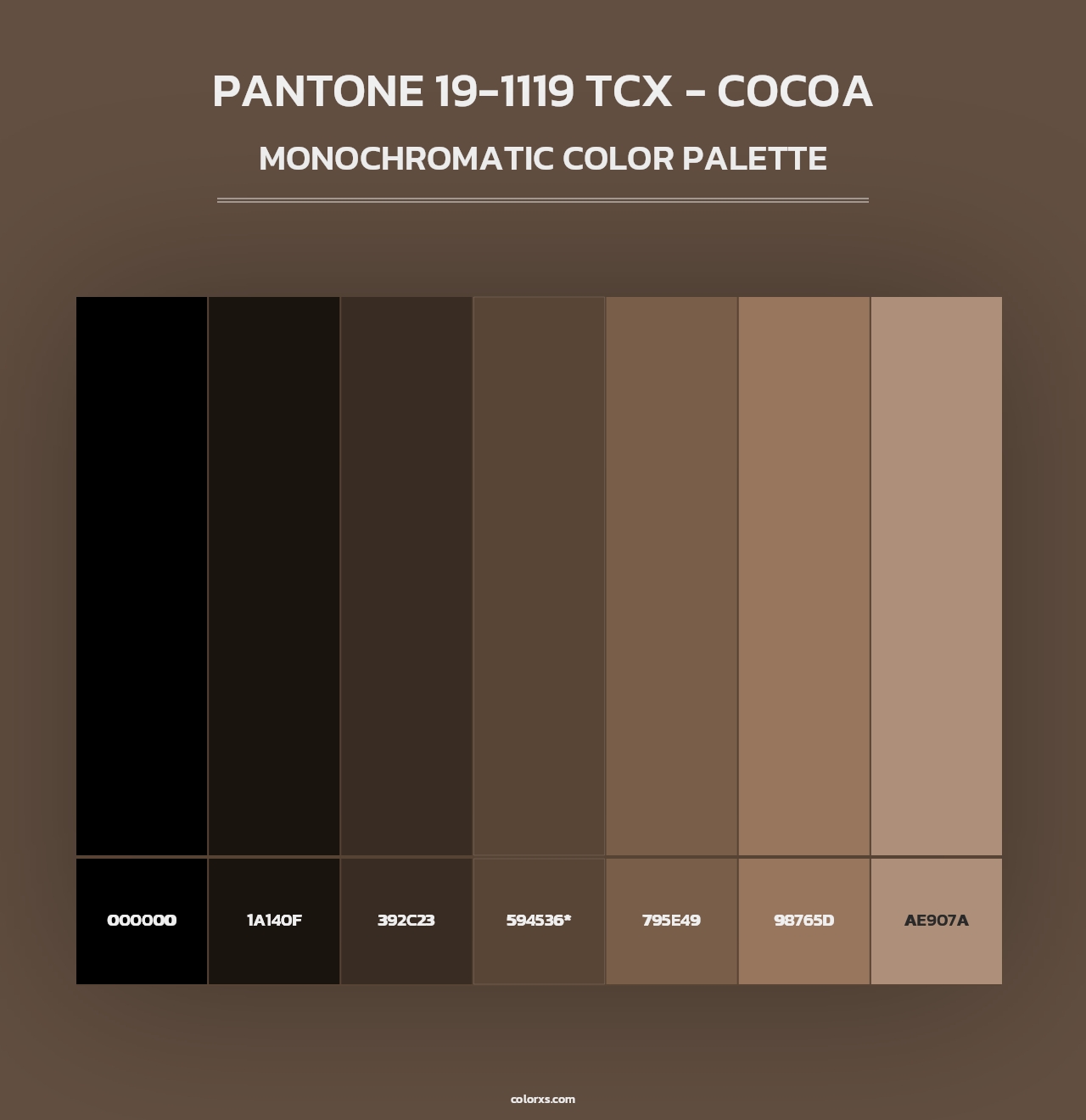 PANTONE 19-1119 TCX - Cocoa - Monochromatic Color Palette