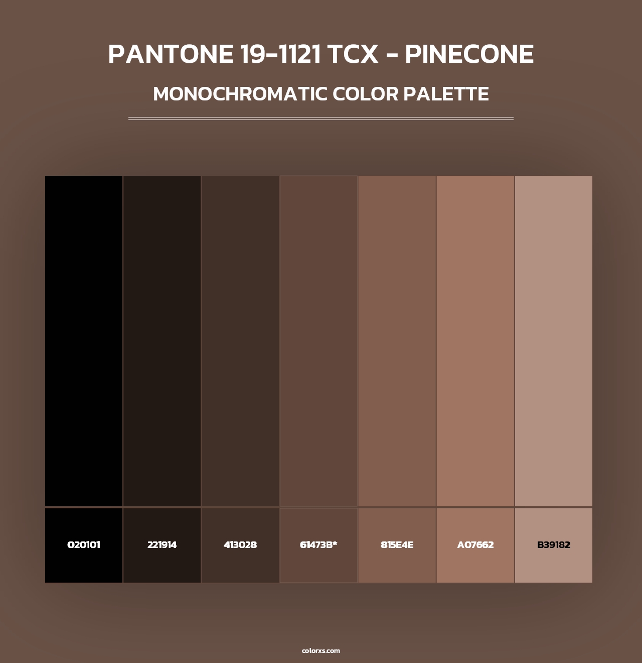 PANTONE 19-1121 TCX - Pinecone - Monochromatic Color Palette