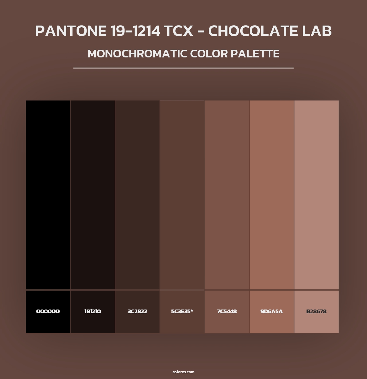 PANTONE 19-1214 TCX - Chocolate Lab - Monochromatic Color Palette