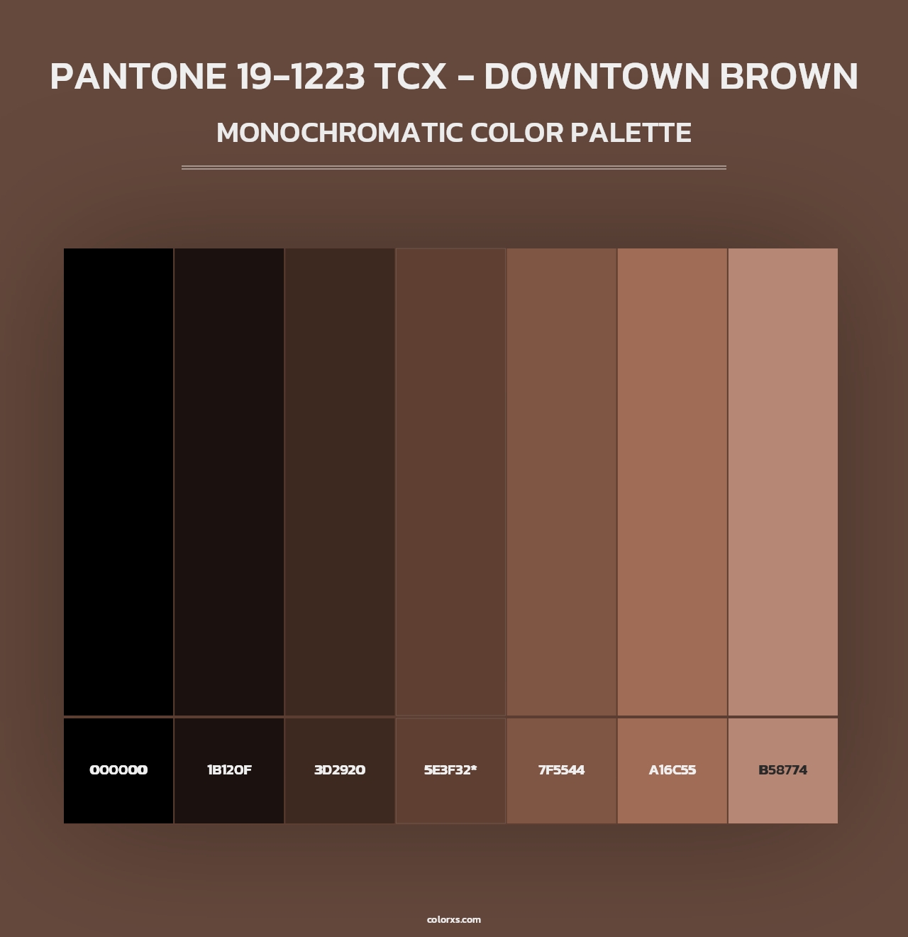 PANTONE 19-1223 TCX - Downtown Brown - Monochromatic Color Palette