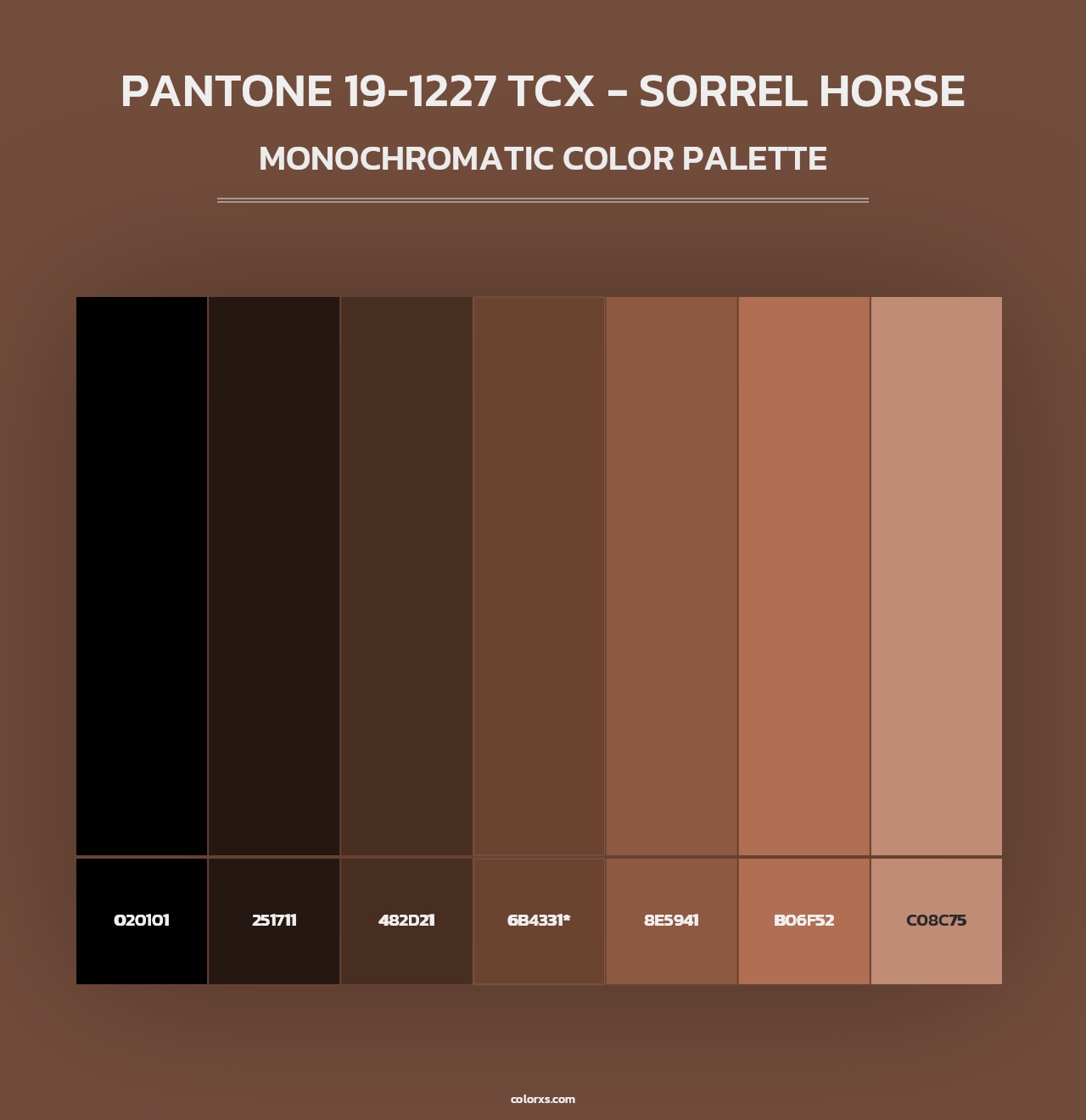 PANTONE 19-1227 TCX - Sorrel Horse - Monochromatic Color Palette