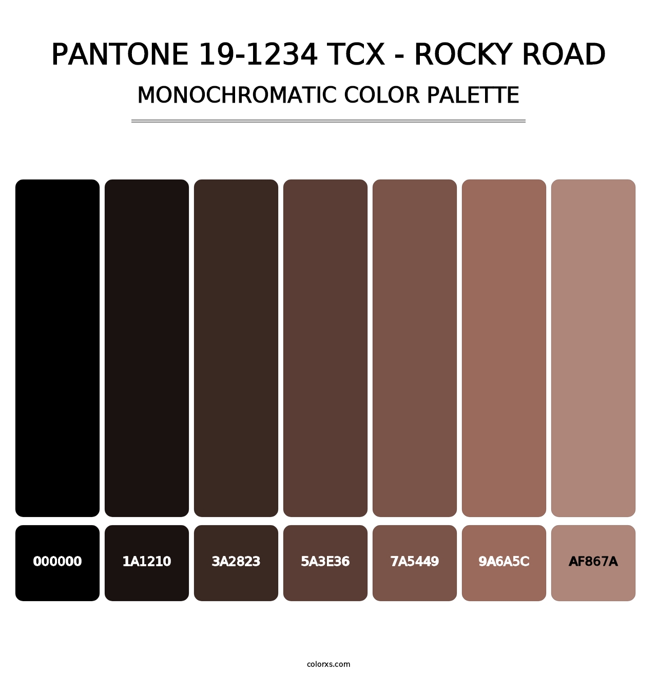 PANTONE 19-1234 TCX - Rocky Road - Monochromatic Color Palette