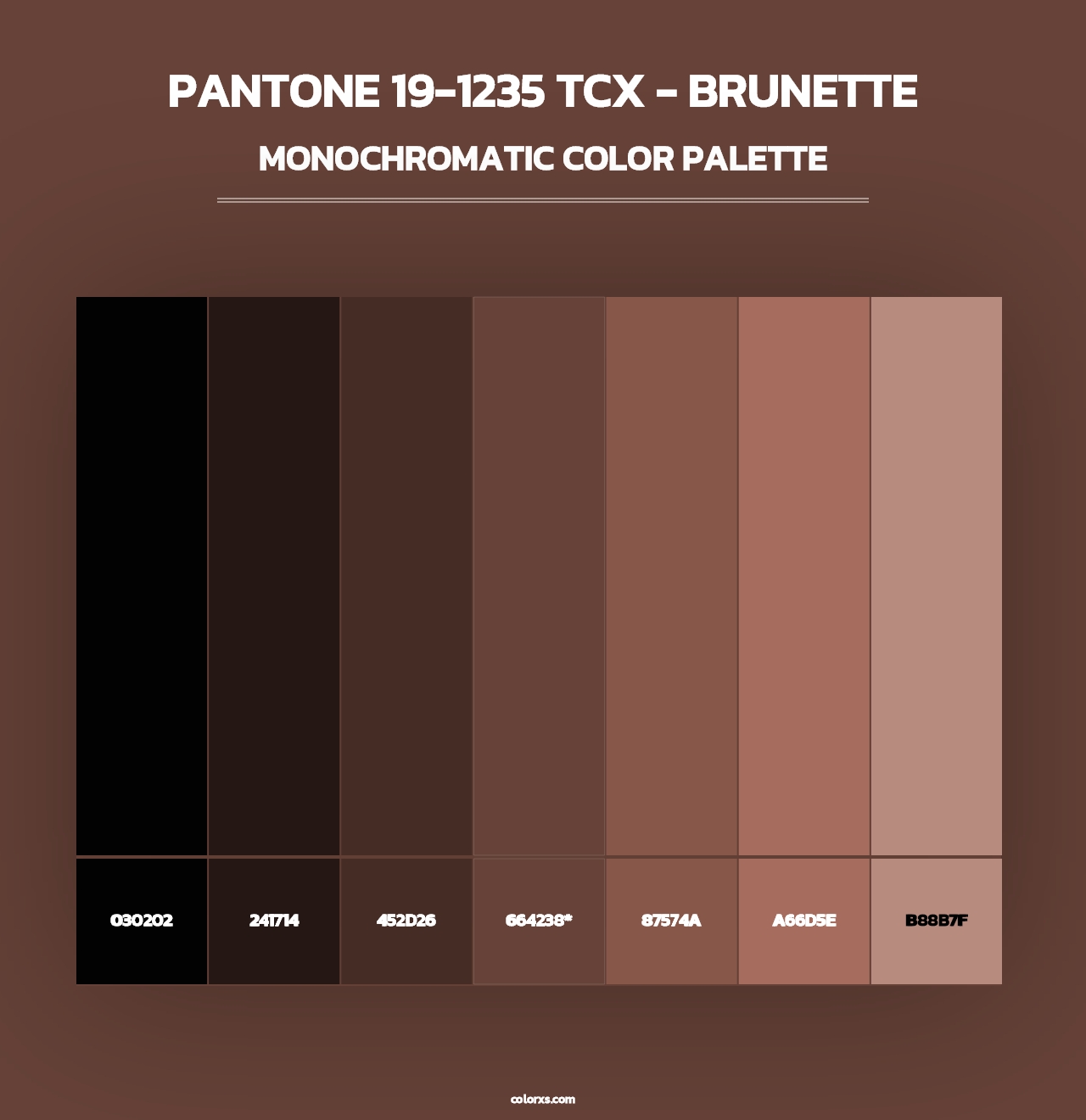 PANTONE 19-1235 TCX - Brunette - Monochromatic Color Palette