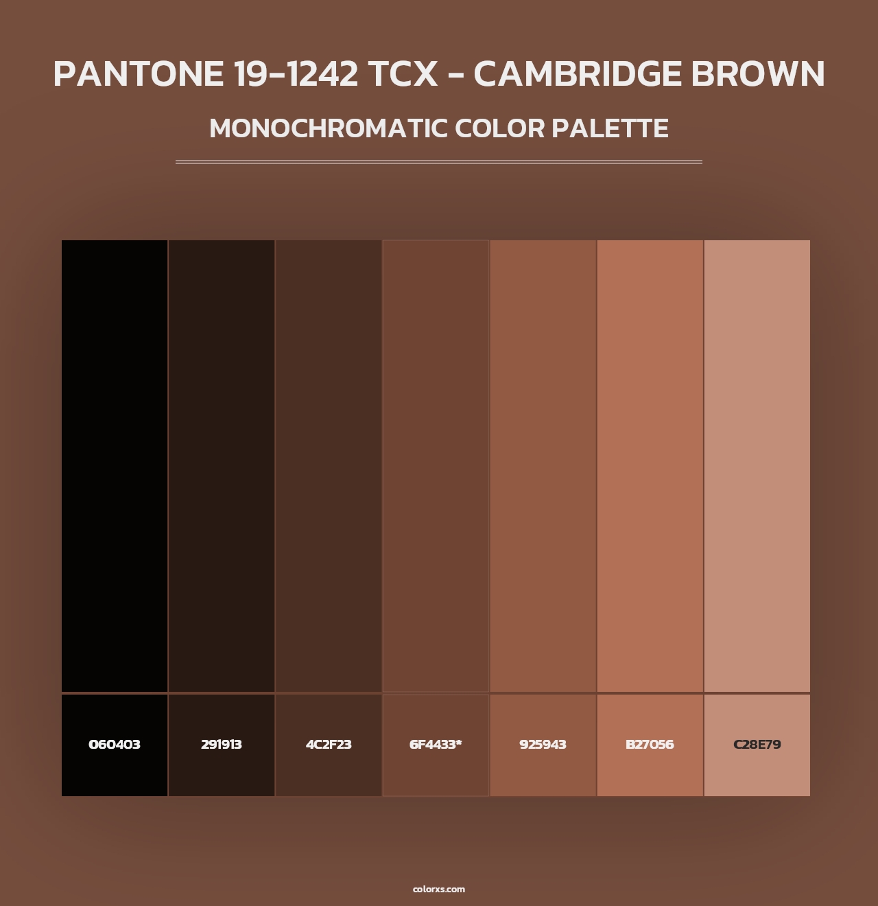 PANTONE 19-1242 TCX - Cambridge Brown - Monochromatic Color Palette