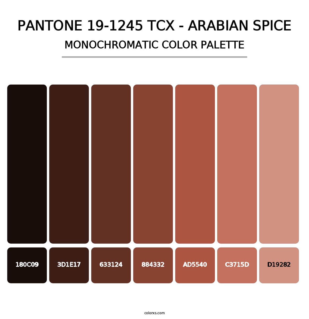 PANTONE 19-1245 TCX - Arabian Spice - Monochromatic Color Palette