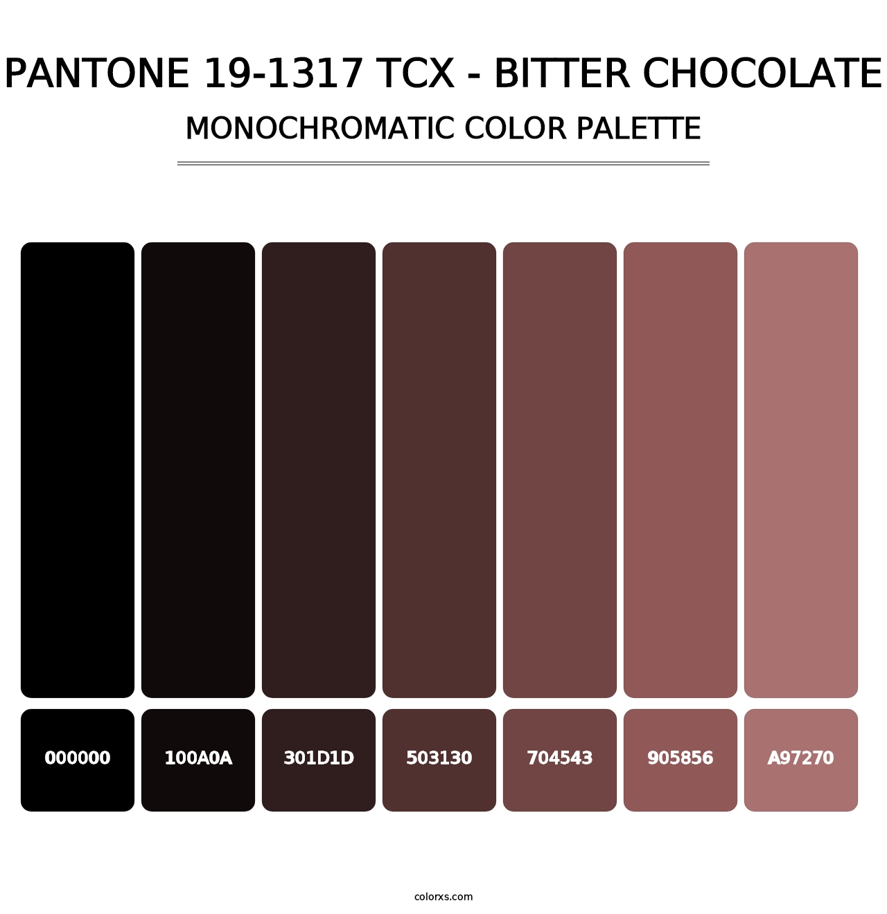 PANTONE 19-1317 TCX - Bitter Chocolate - Monochromatic Color Palette