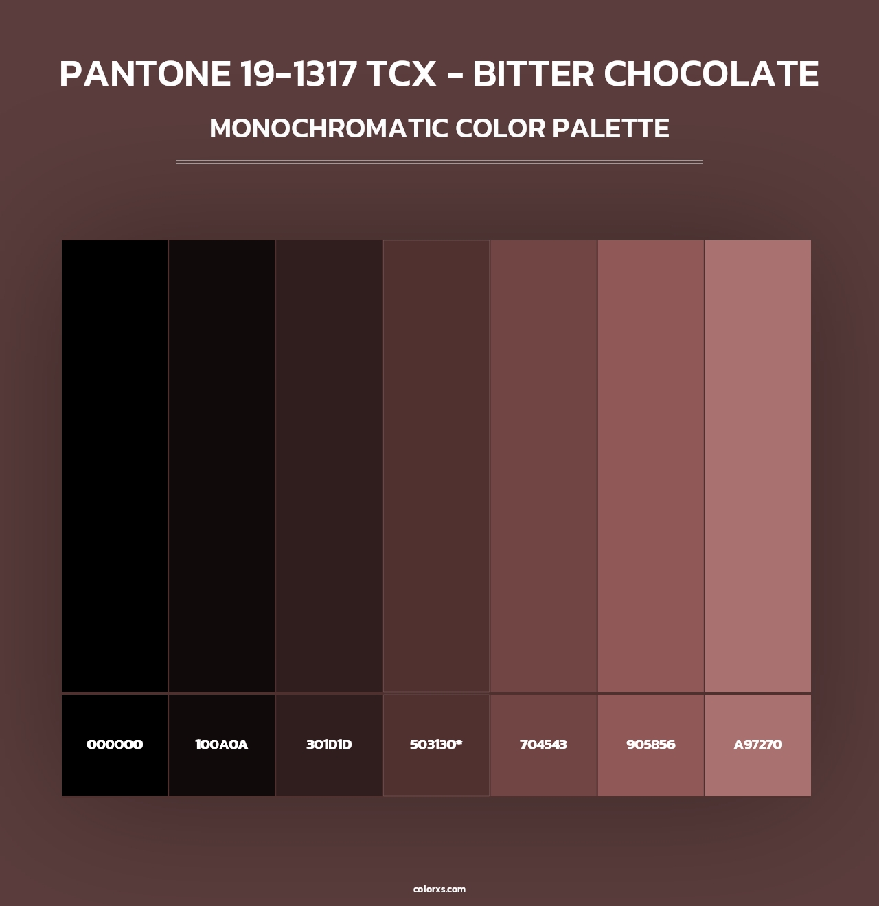 PANTONE 19-1317 TCX - Bitter Chocolate - Monochromatic Color Palette