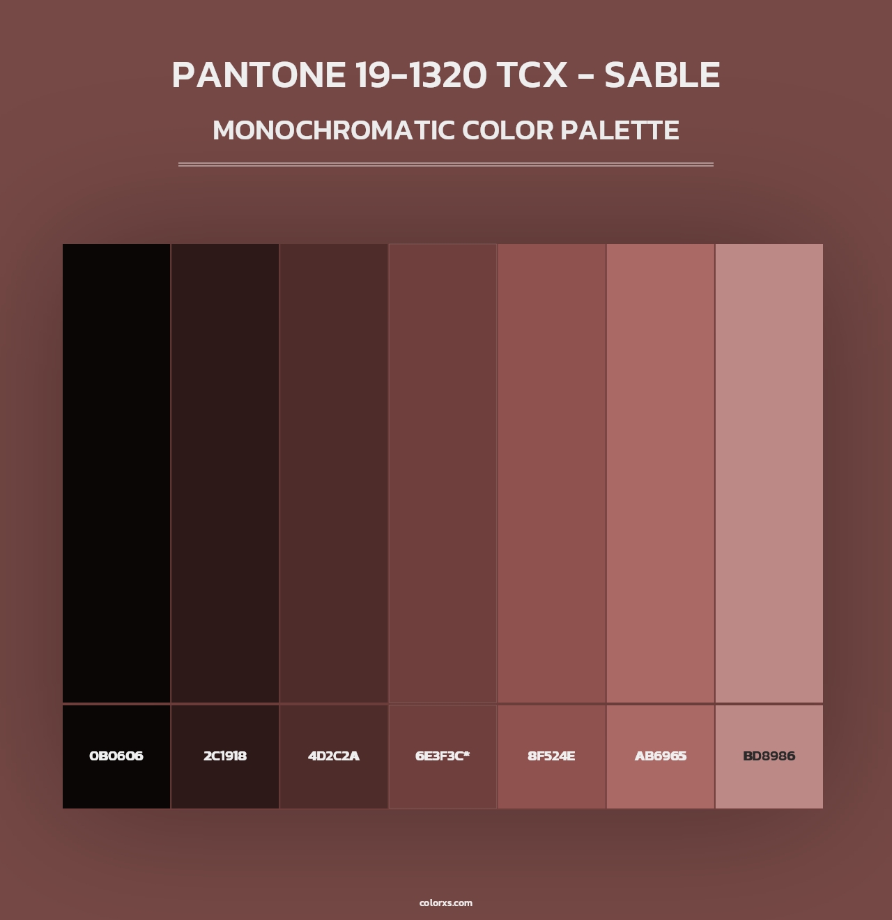 PANTONE 19-1320 TCX - Sable - Monochromatic Color Palette