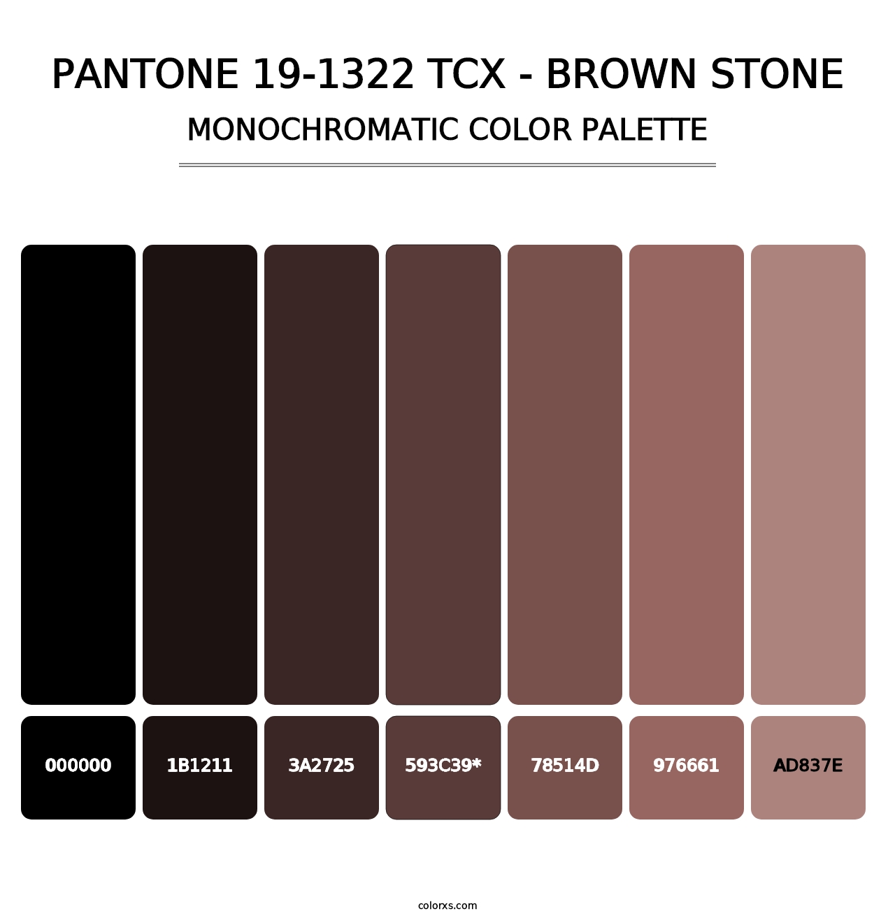 PANTONE 19-1322 TCX - Brown Stone - Monochromatic Color Palette
