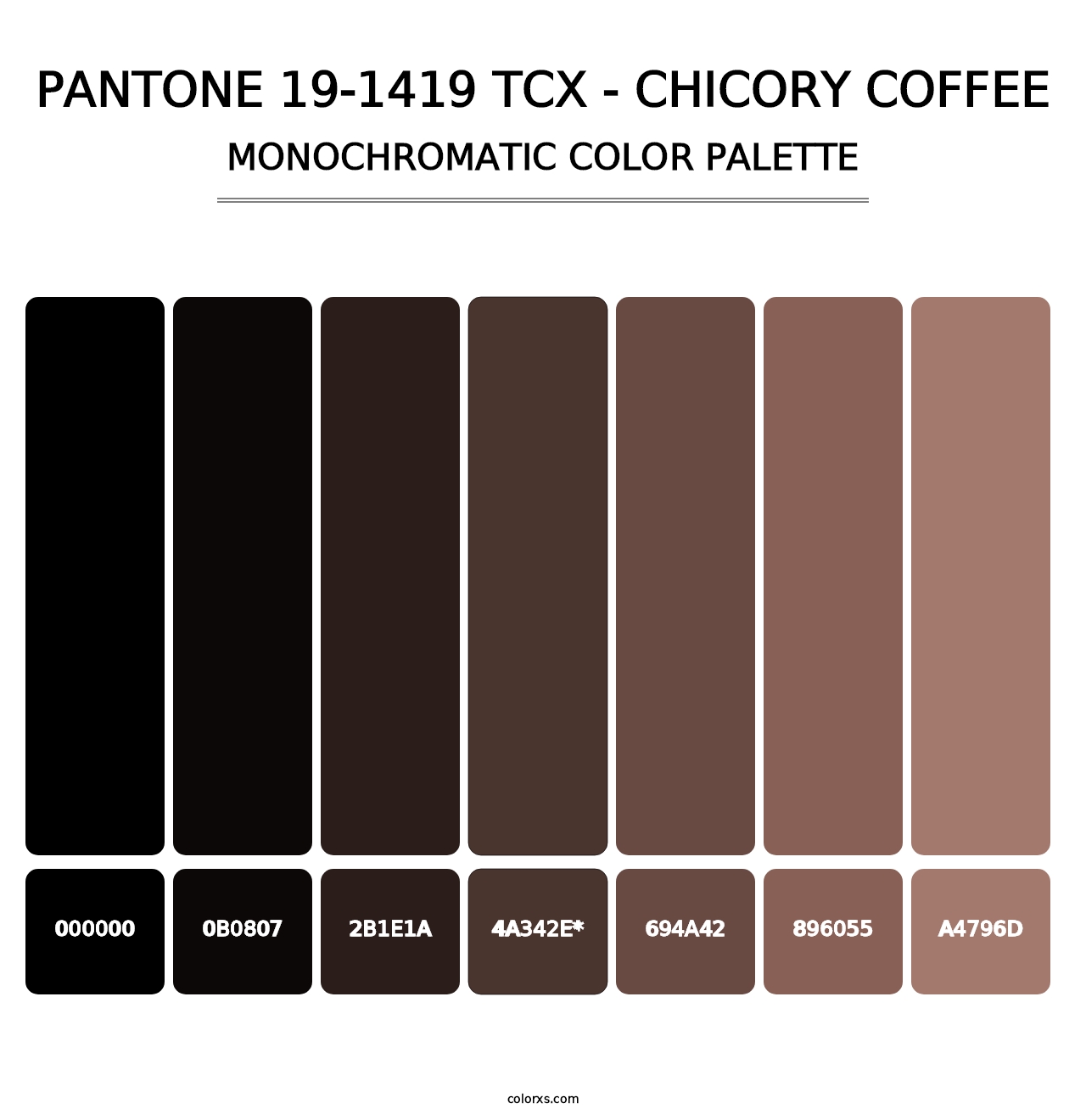 PANTONE 19-1419 TCX - Chicory Coffee - Monochromatic Color Palette
