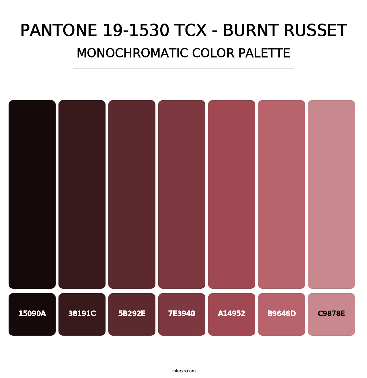 PANTONE 19-1530 TCX - Burnt Russet - Monochromatic Color Palette