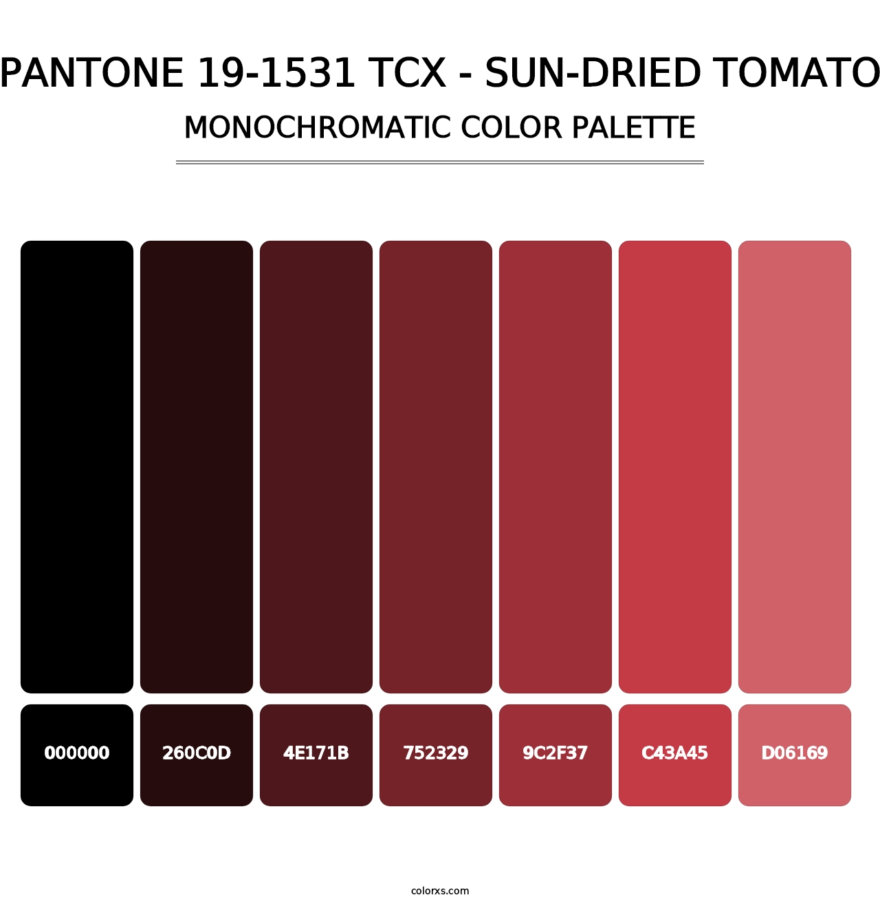 PANTONE 19-1531 TCX - Sun-Dried Tomato - Monochromatic Color Palette
