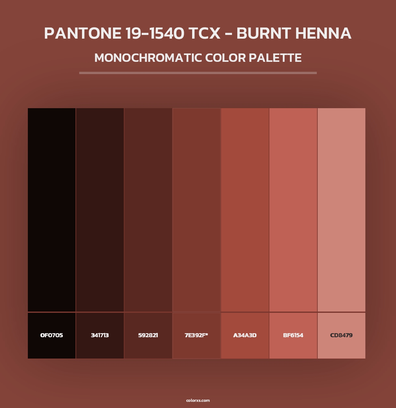 PANTONE 19-1540 TCX - Burnt Henna - Monochromatic Color Palette