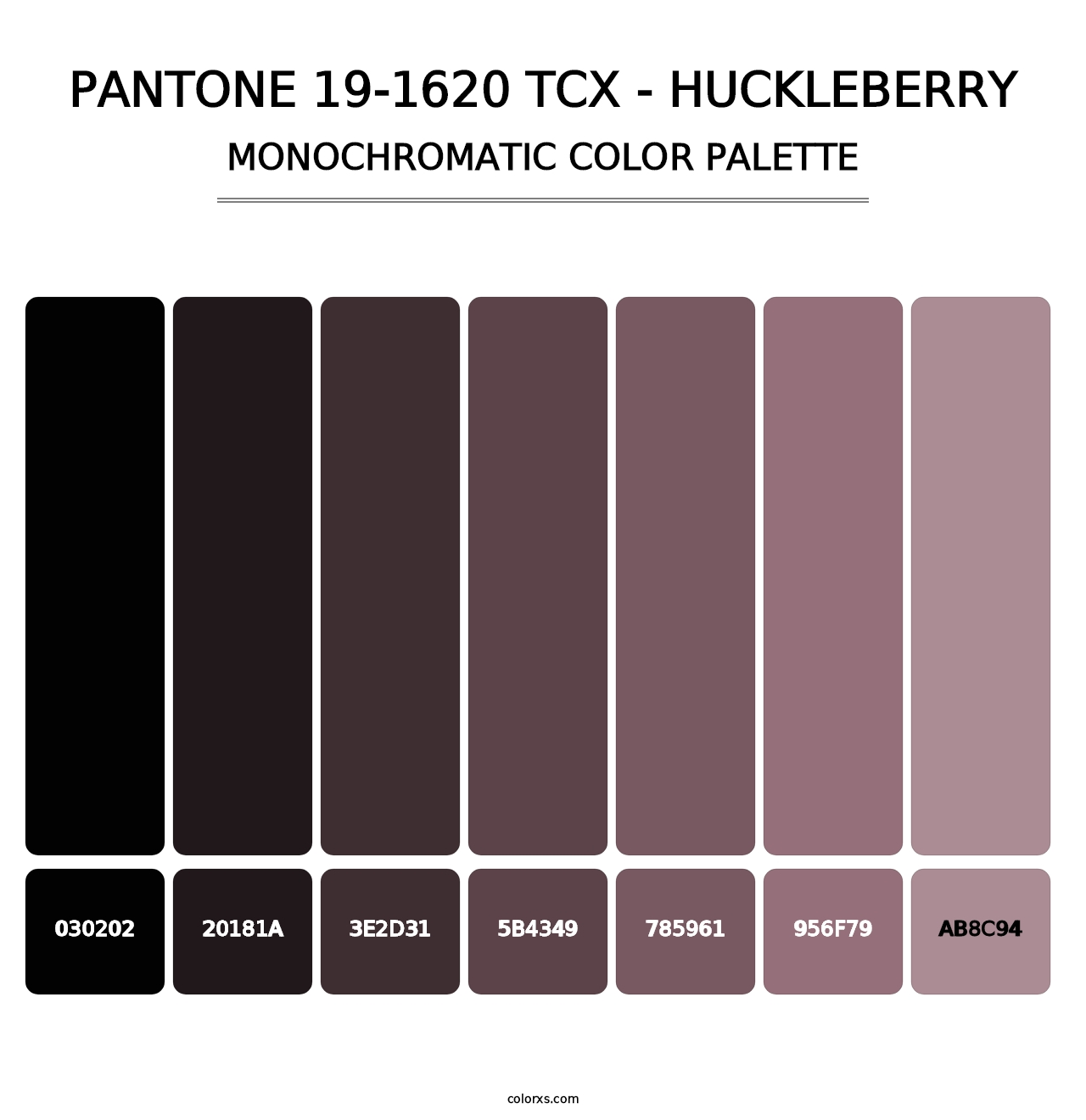 PANTONE 19-1620 TCX - Huckleberry - Monochromatic Color Palette
