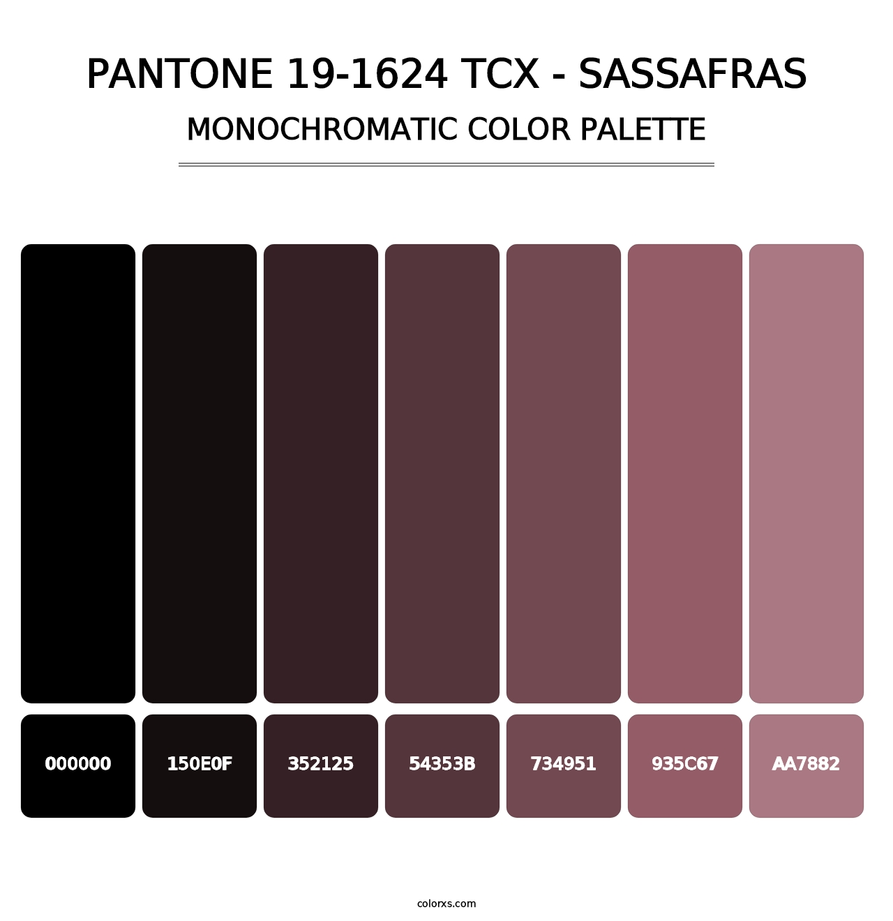 PANTONE 19-1624 TCX - Sassafras - Monochromatic Color Palette