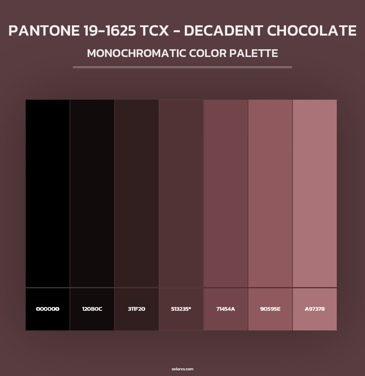 PANTONE 19-1625 TCX - Decadent Chocolate - Monochromatic Color Palette
