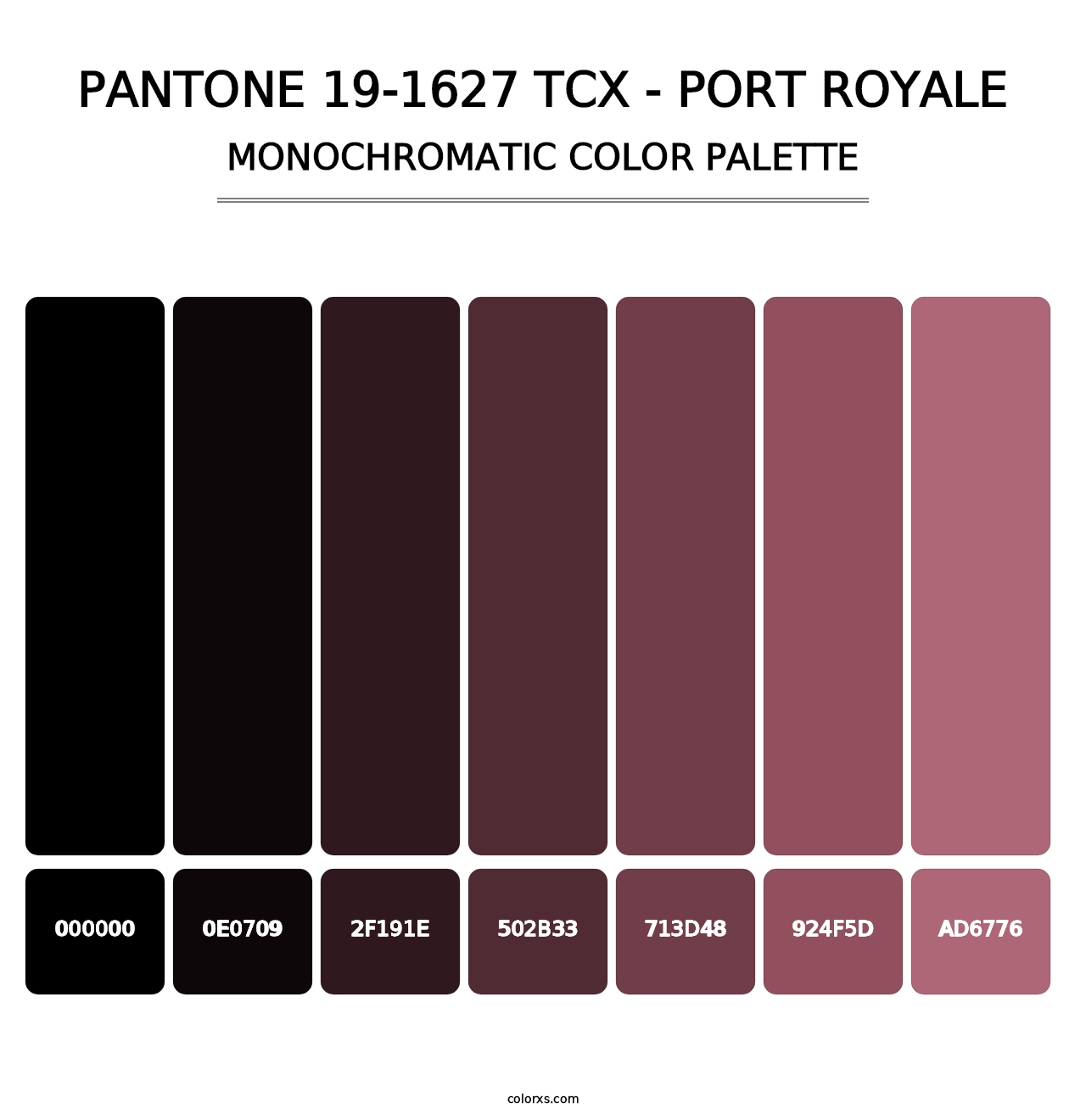 PANTONE 19-1627 TCX - Port Royale - Monochromatic Color Palette