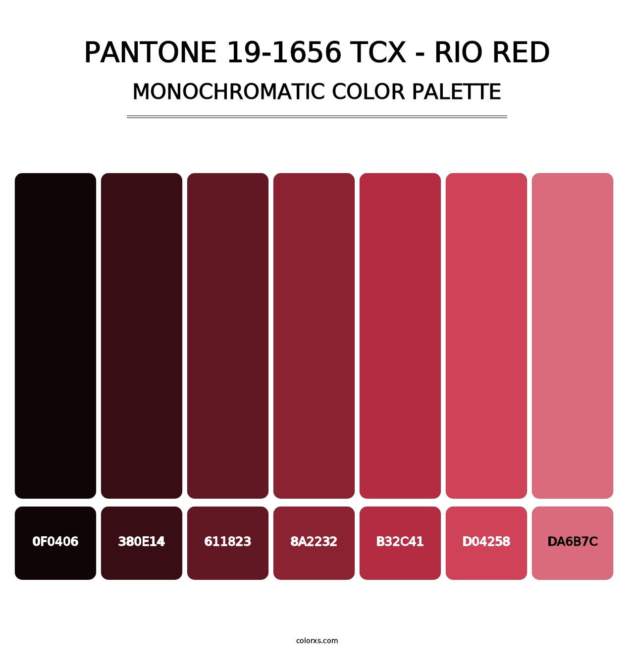 PANTONE 19-1656 TCX - Rio Red - Monochromatic Color Palette