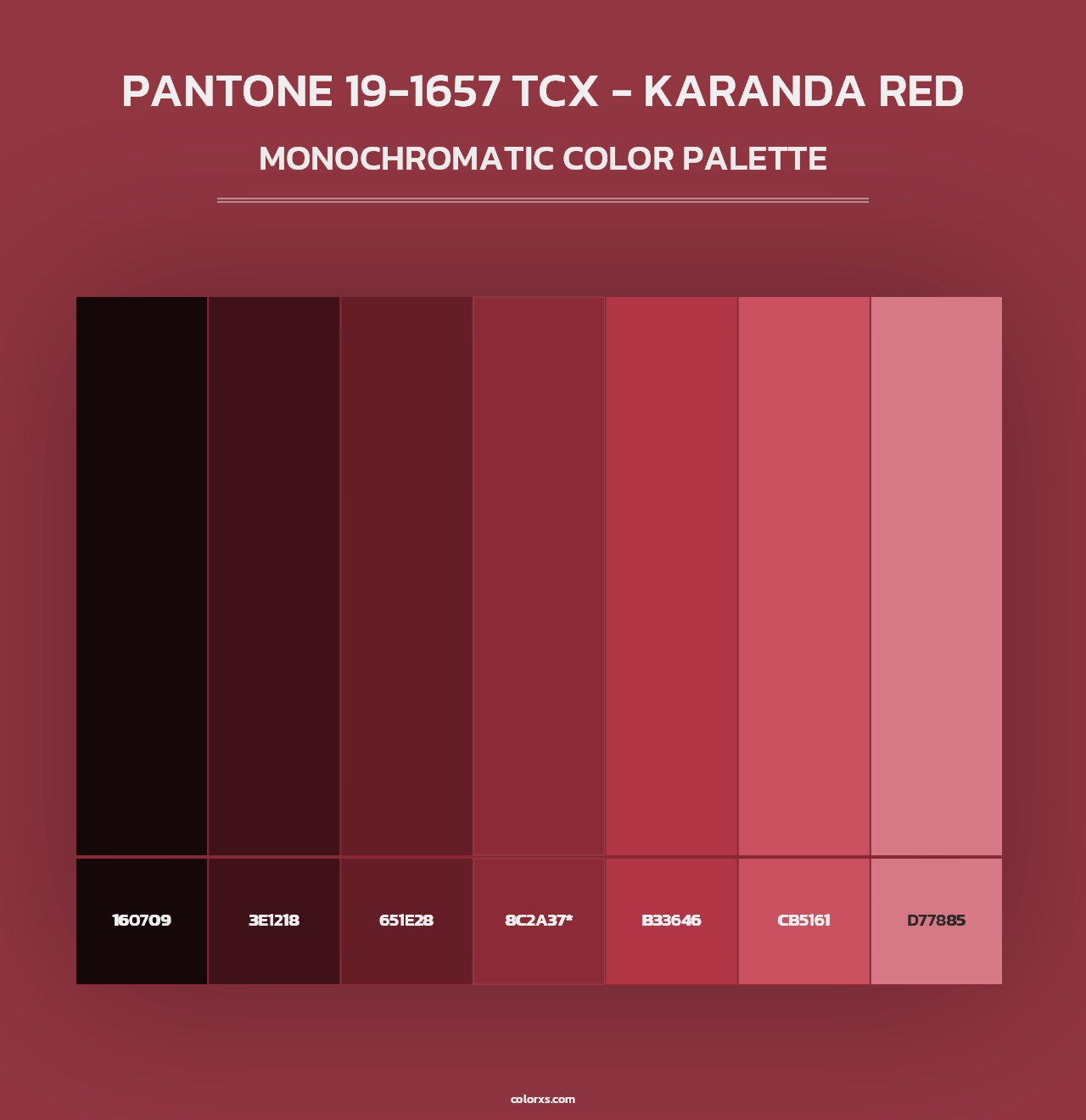 PANTONE 19-1657 TCX - Karanda Red - Monochromatic Color Palette