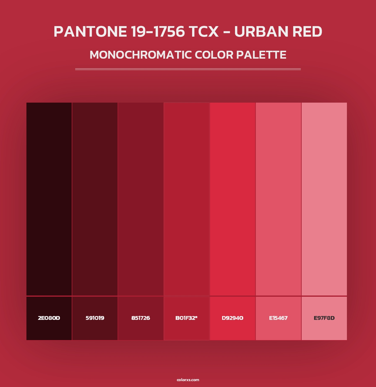 PANTONE 19-1756 TCX - Urban Red - Monochromatic Color Palette