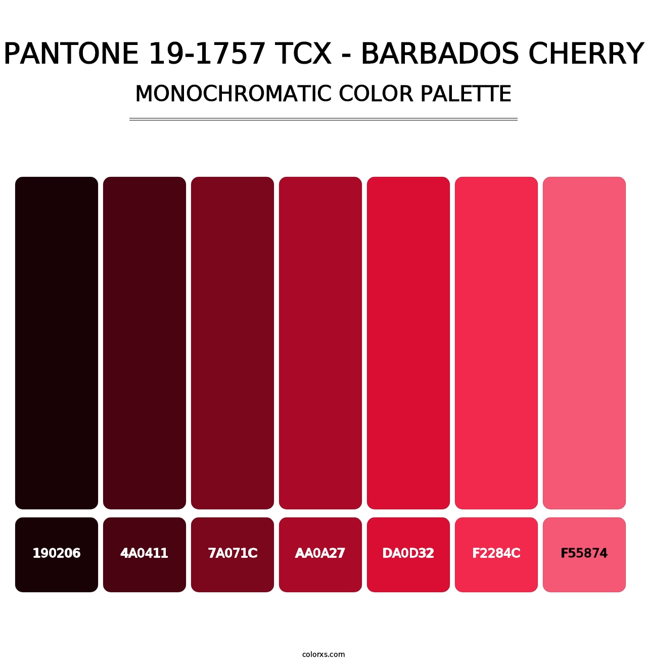 PANTONE 19-1757 TCX - Barbados Cherry - Monochromatic Color Palette